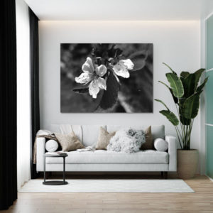 Alternative view of Wandbild einzigartig und modern - Blüte, 60 x 90 cm bis 120 x 180 cm