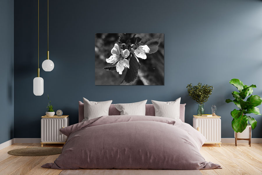 Bluete schwarz weiß Graustufenbild
