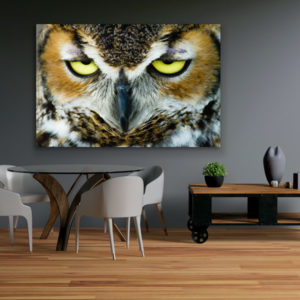 Alternative view of Wandbild einzigartig und modern - Eulenaugen, 60 x 90 cm bis 120 x 180 cm
