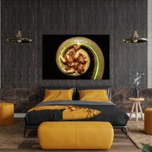 Farn Acrylglas AluVerbund Bild