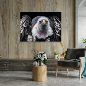 Alternative view of Wandbild Imposanter Geier - einzigartig und modern, 60 x 90 cm bis 120 x 180 cm