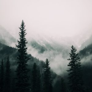 Wandbild - Nebellandschaft
