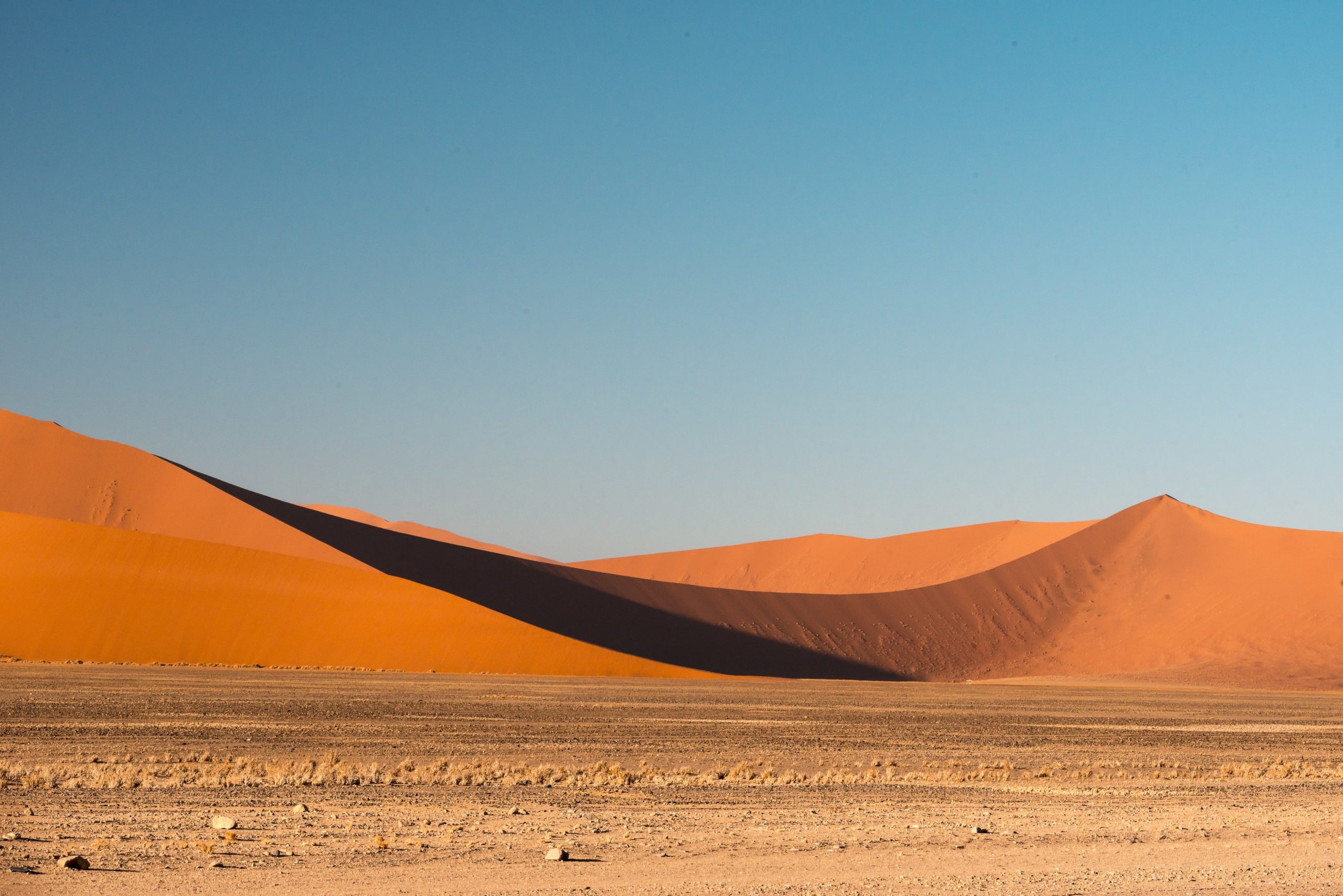 Wandbild - Dünen des Namib-Nationalparks