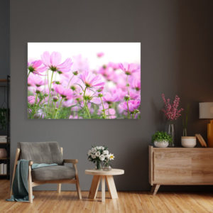 Zarte Blumen auf einem Feld