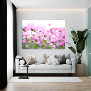 Zarte Blumen auf einem Feld