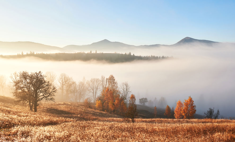 Wandbild Herbstlandschaft im Nebel