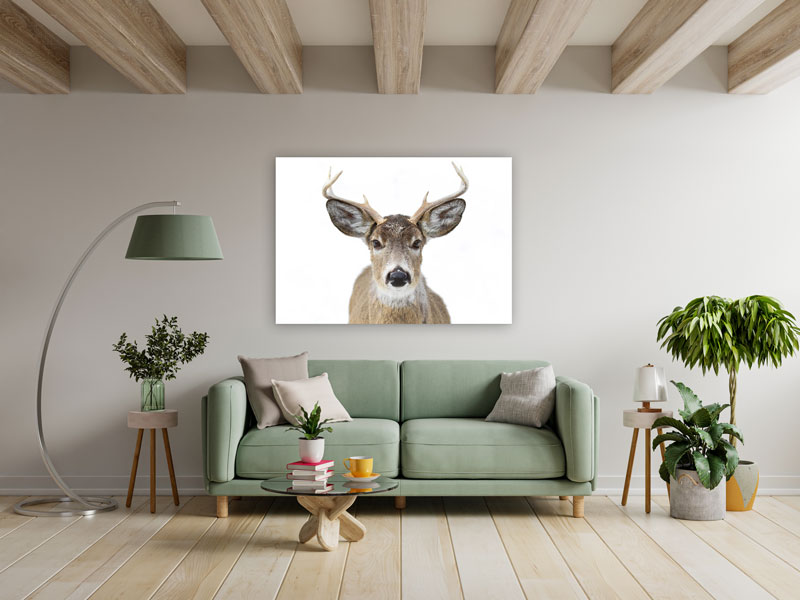 Wandbild einzigartig und modern - Hirsch, 60 x 90 cm bis 120 x 180 cm – Bild 3