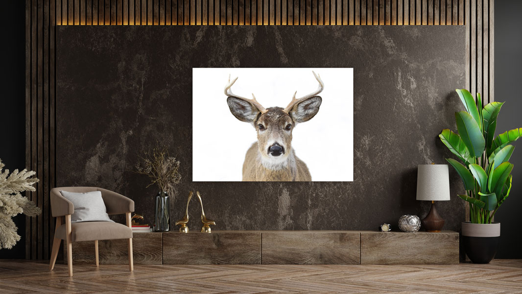 Wandbild einzigartig und modern - Hirsch, 60 x 90 cm bis 120 x 180 cm – Bild 2