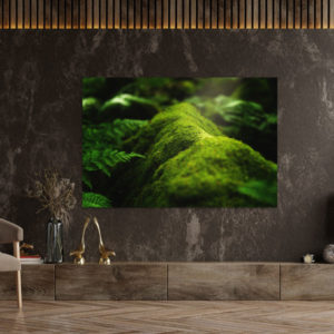 Alternative view of Wandbild einzigartig und modern - Moos auf einem Ast, 60 x 90 cm bis 120 x 180 cm