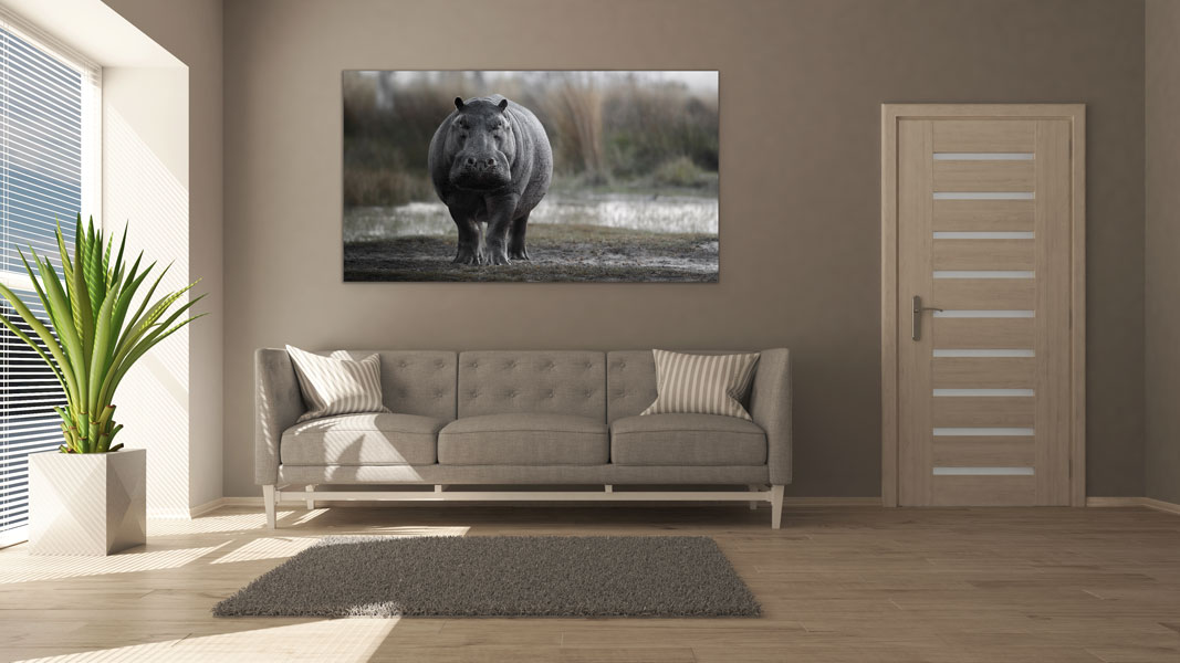 Wandbild einzigartig und modern - Gefährliches Nilpferd, 60 x 90 cm bis 120 x 180 cm – Bild 3