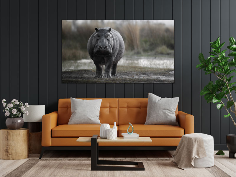 Wandbild einzigartig und modern - Gefährliches Nilpferd, 60 x 90 cm bis 120 x 180 cm – Bild 2