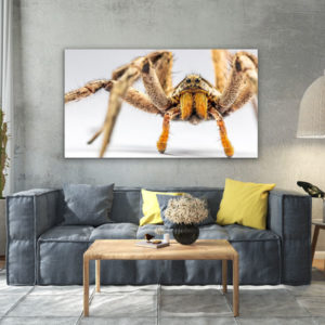 Alternative view of Wandbild einzigartig und modern - Spinne vor dem Angriff, 60 x 90 cm bis 120 x 180 cm