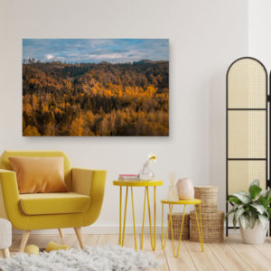 Wandbild Wald im Herbst