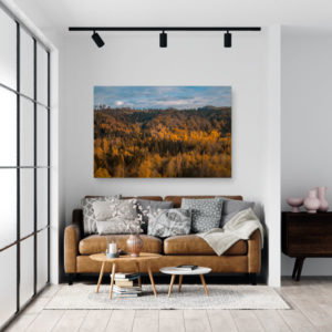 Wandbild Wald im Herbst