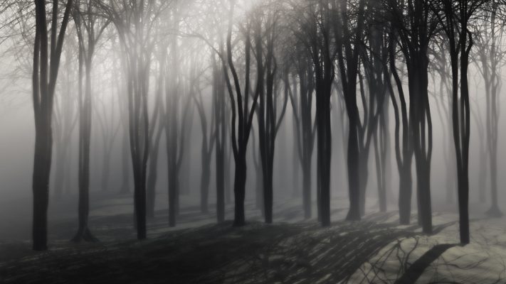 Wandbild Nebliger Wald